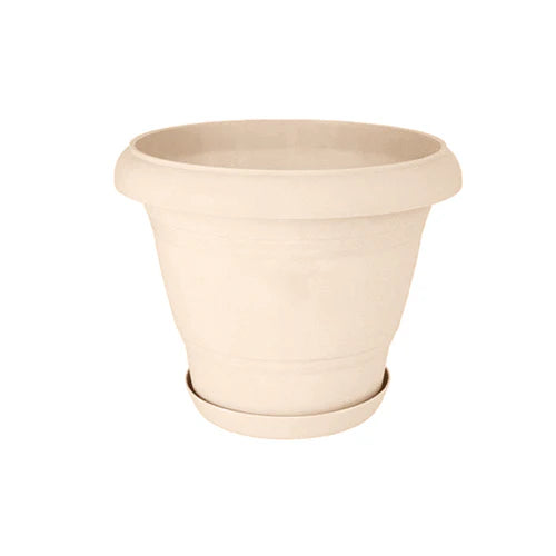 Plant Pot - Star El Helal