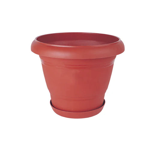 Plant Pot - Star El Helal