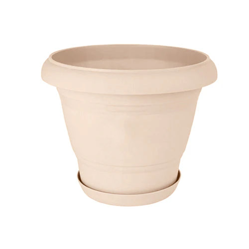 Plant Pot - Star El Helal