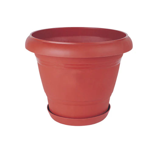 Plant Pot - Star El Helal