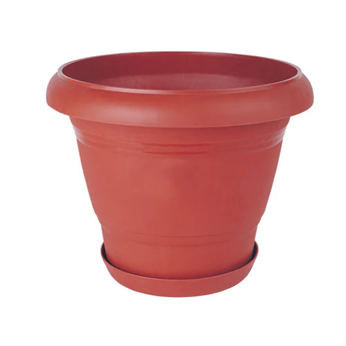 Plant Pot - Star El Helal