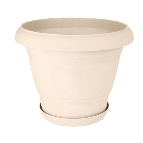 Plant Pot - Star El Helal