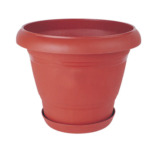 Plant Pot - Star El Helal