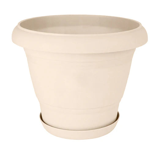 Plant Pot - Star El Helal