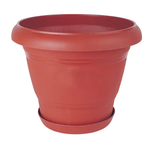 Plant Pot - Star El Helal
