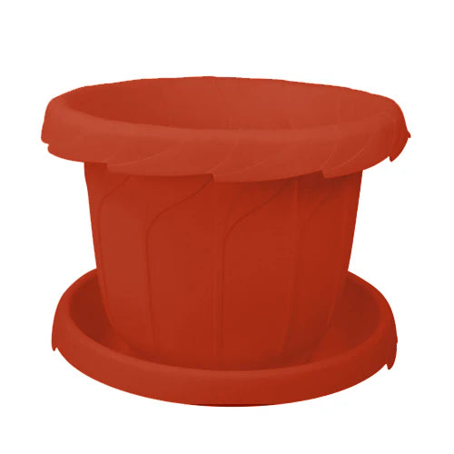 Plant Pot - Star El Helal