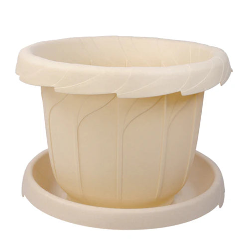 Plant Pot - Star El Helal