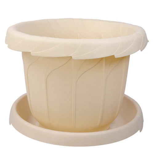 Plant Pot - Star El Helal