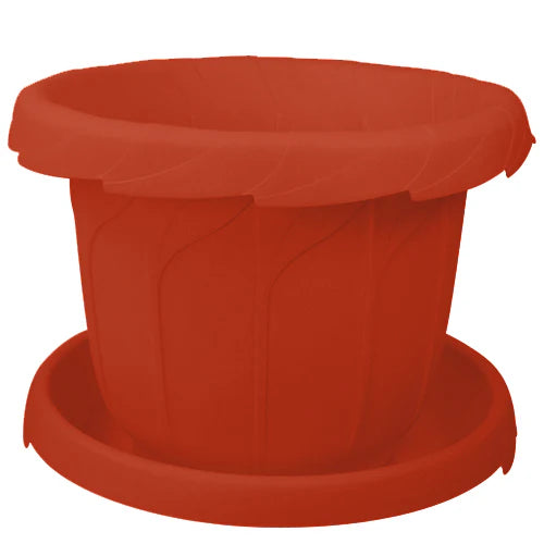Plant Pot - Star El Helal