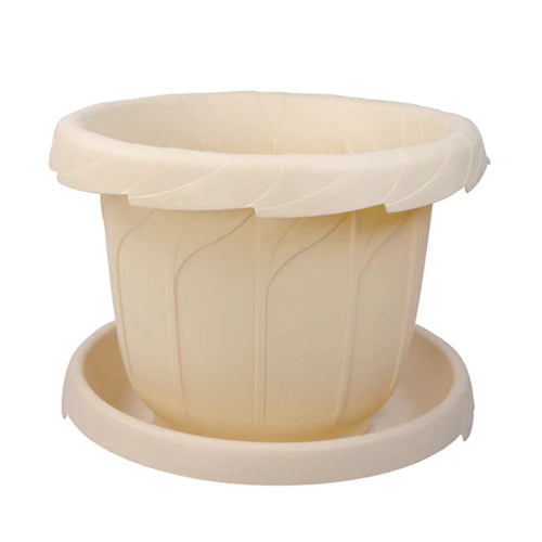 Plant Pot - Star El Helal